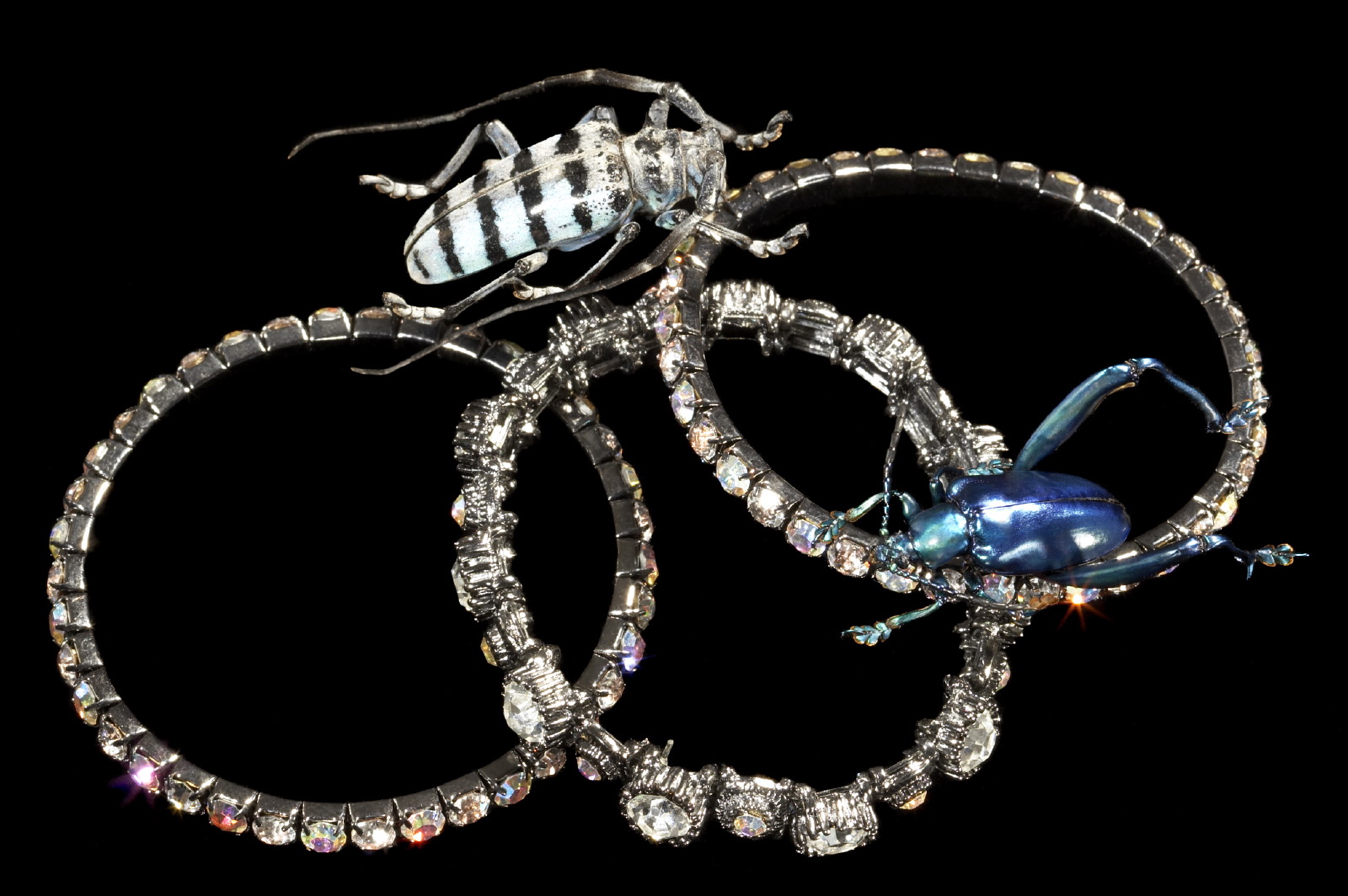 Jewellery giant scarabs & bracelet