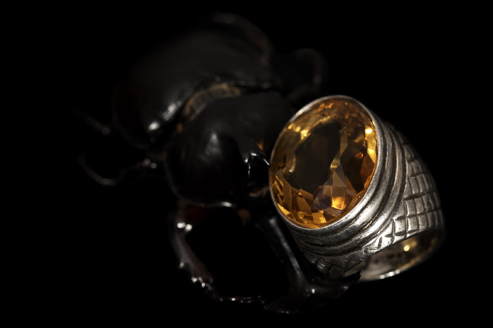 jewellery stag beetle & ring