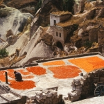 Apricot Cappadoce Turkey