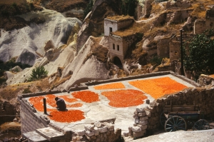Apricot Cappadoce Turkey
