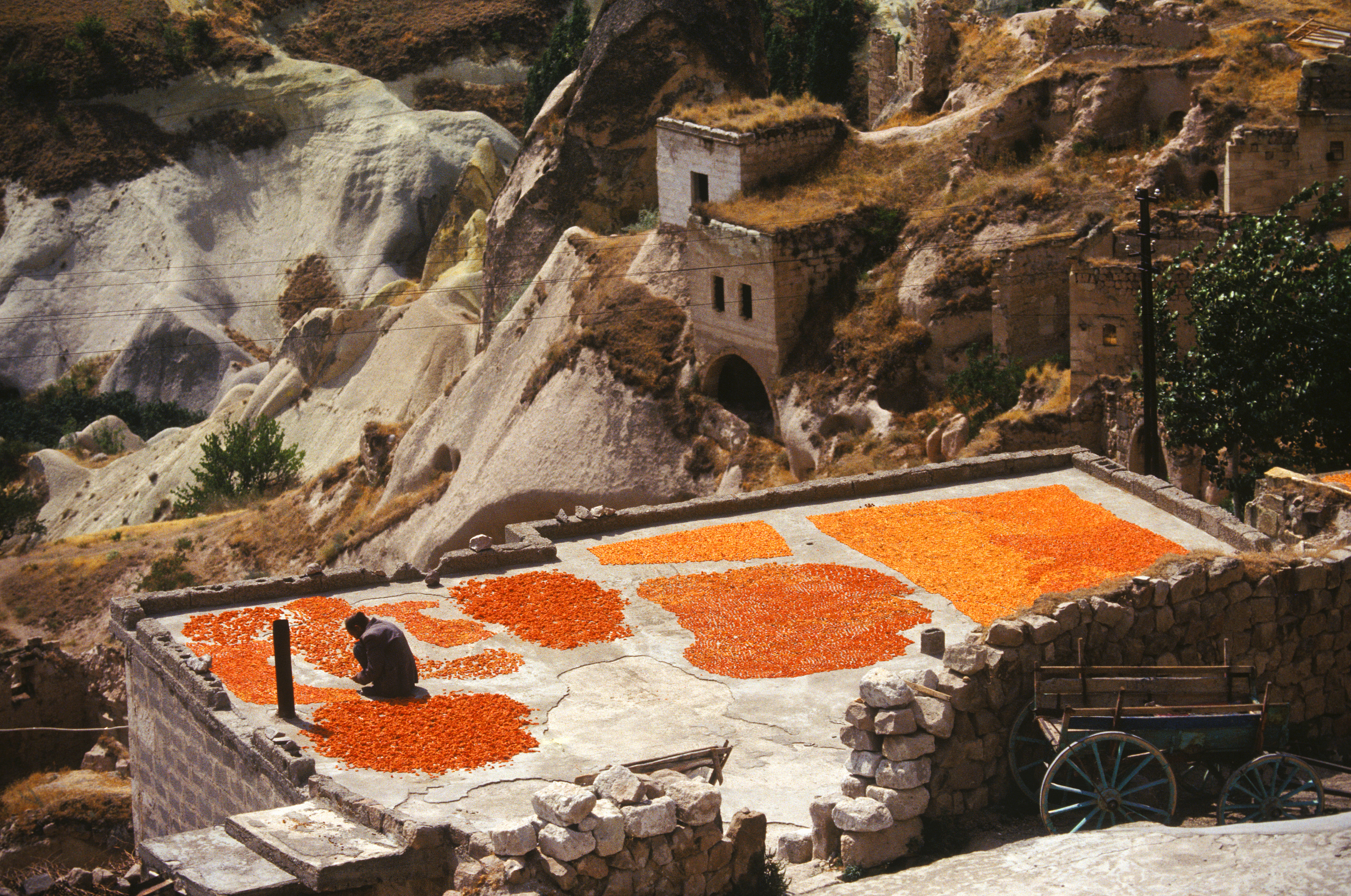 Apricot Cappadoce Turkey