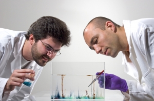 Chemist experimenting the chemical gardens