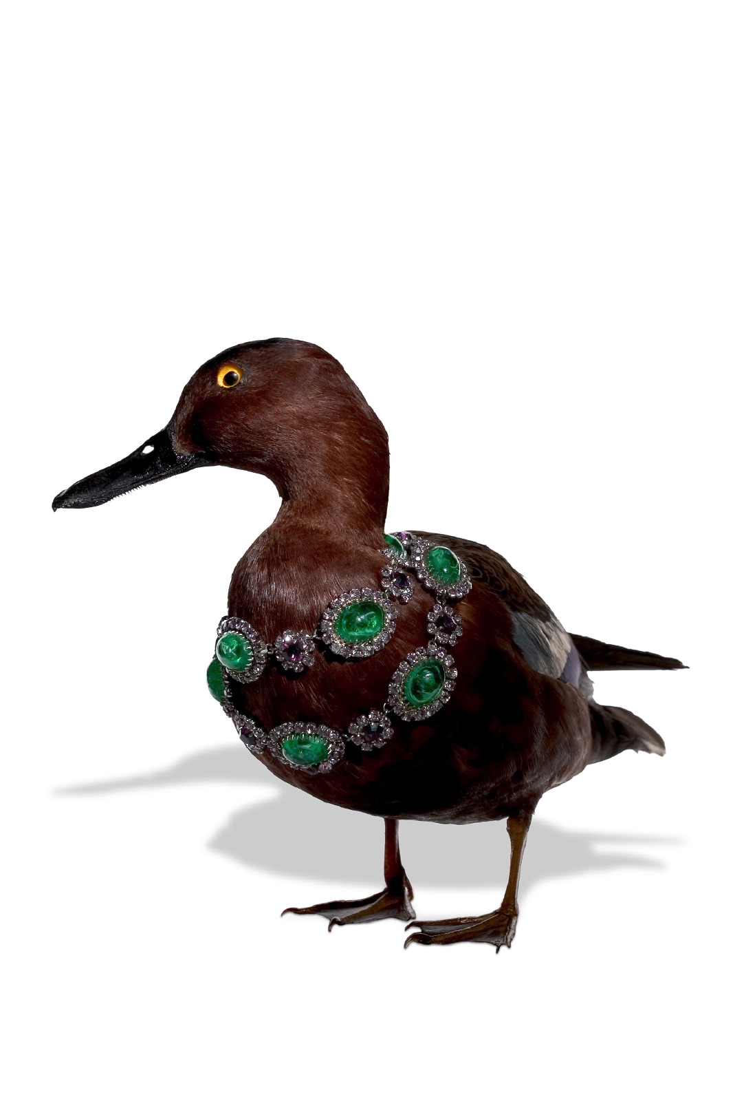Jewellery Bird & necklace